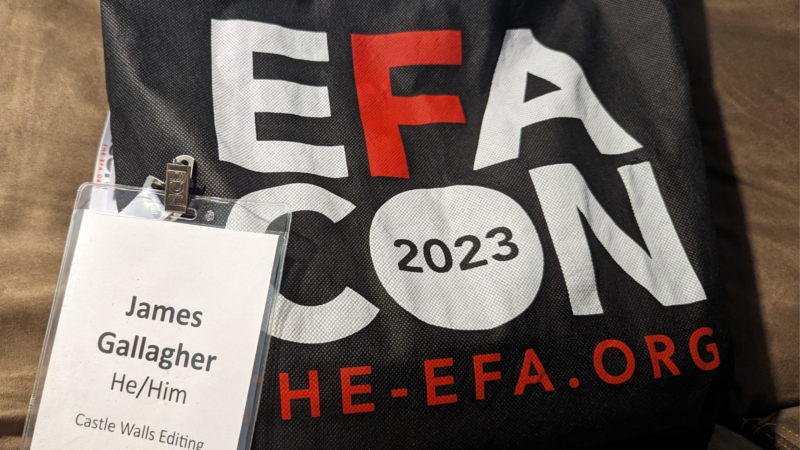 A promotional bag and James Gallagher's badge from EFACON 2023